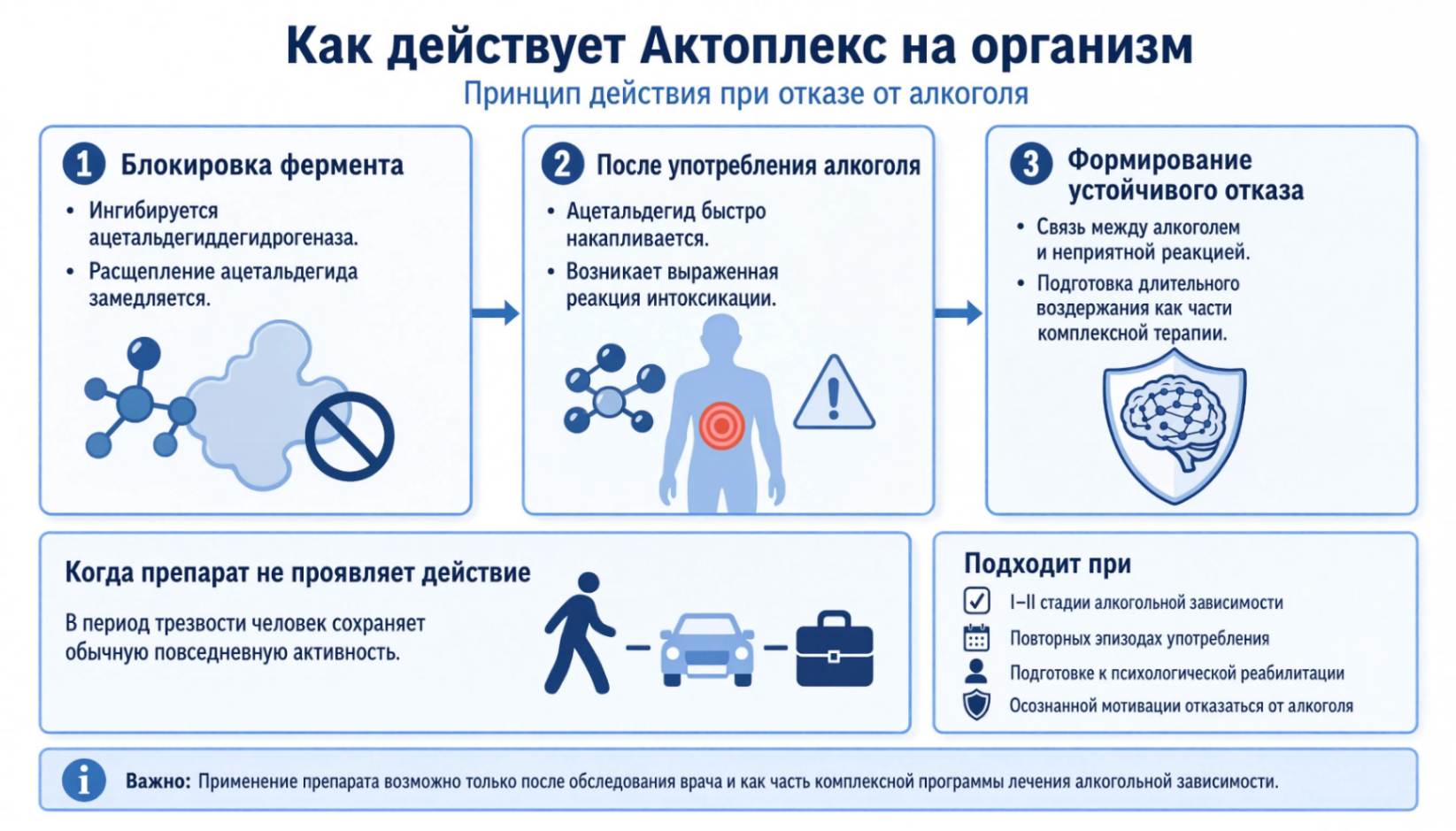 Инфографика: механизм действия Актоплекса при кодировании от алкогольной зависимости